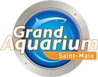 aquarium-saint-malo