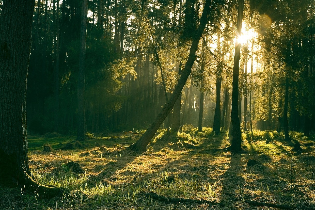 Brocéliande